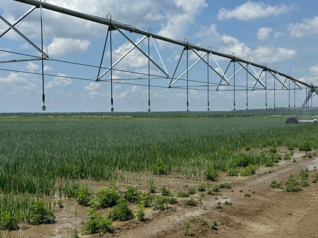 Brodsko-posavska županija u vrhu po ulaganjima u poljoprivredu u 2024.