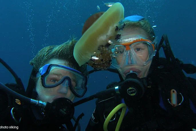 Mala škola ronjenja ponovno na Gradskim bazenima