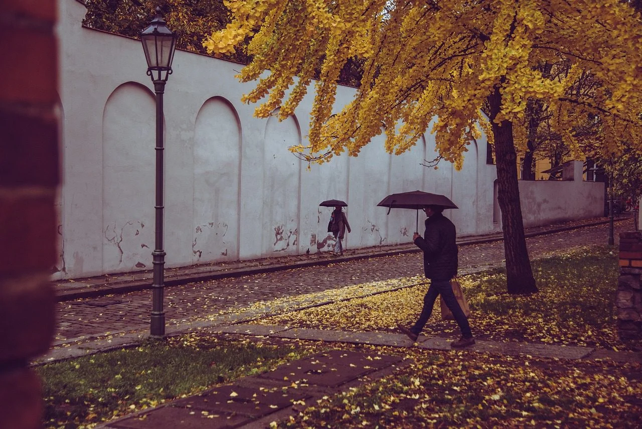 Vremenska prognoza: južina i obilna kiša