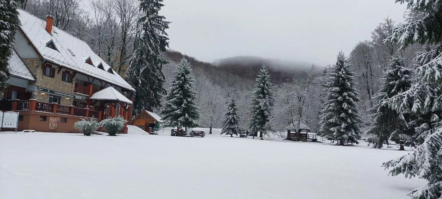 FOTO: Zabijelio se Papuk