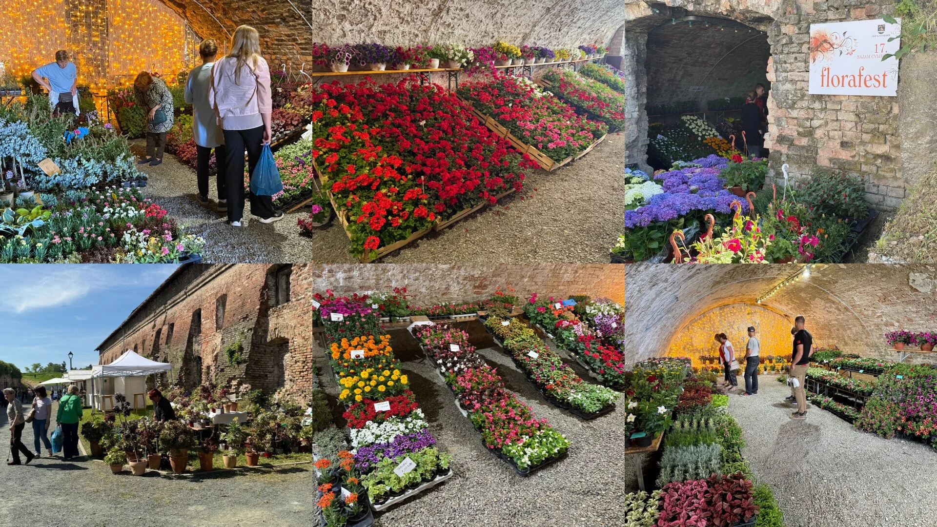 Florafest ponovno donosi proljetni ugođaj u Tvrđavu Brod