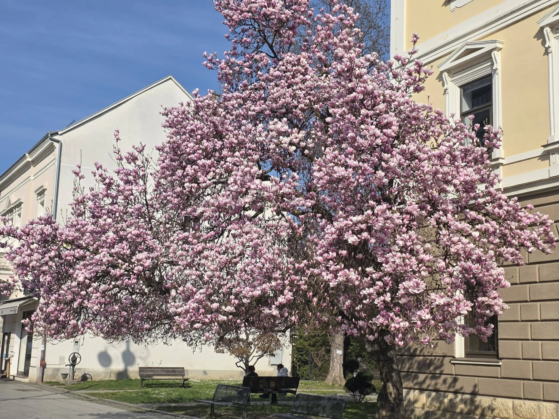 Proljeće je stiglo: prvi proljetni dani donose novu energiju i optimizam
