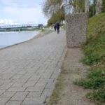 Problem neodgovornih vlasnika pasa