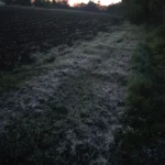 Mraz zabijelio naše krajeve