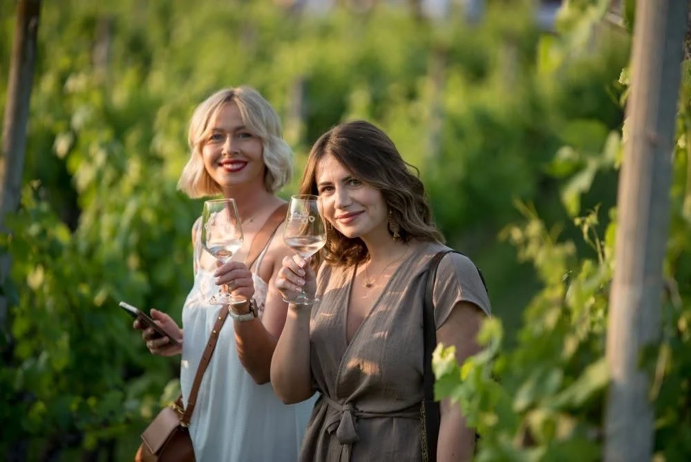 Tko sve stiže na 6. Zalazak u vinogradu? Upoznajte ovogodišnje vinare
