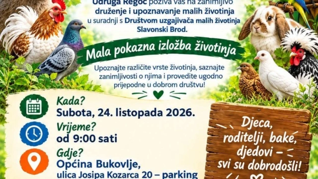 fb_img_1792505631447